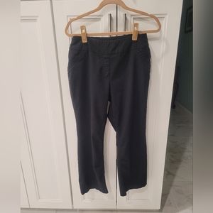 WestBound Straight leg pull on 12 petite Short